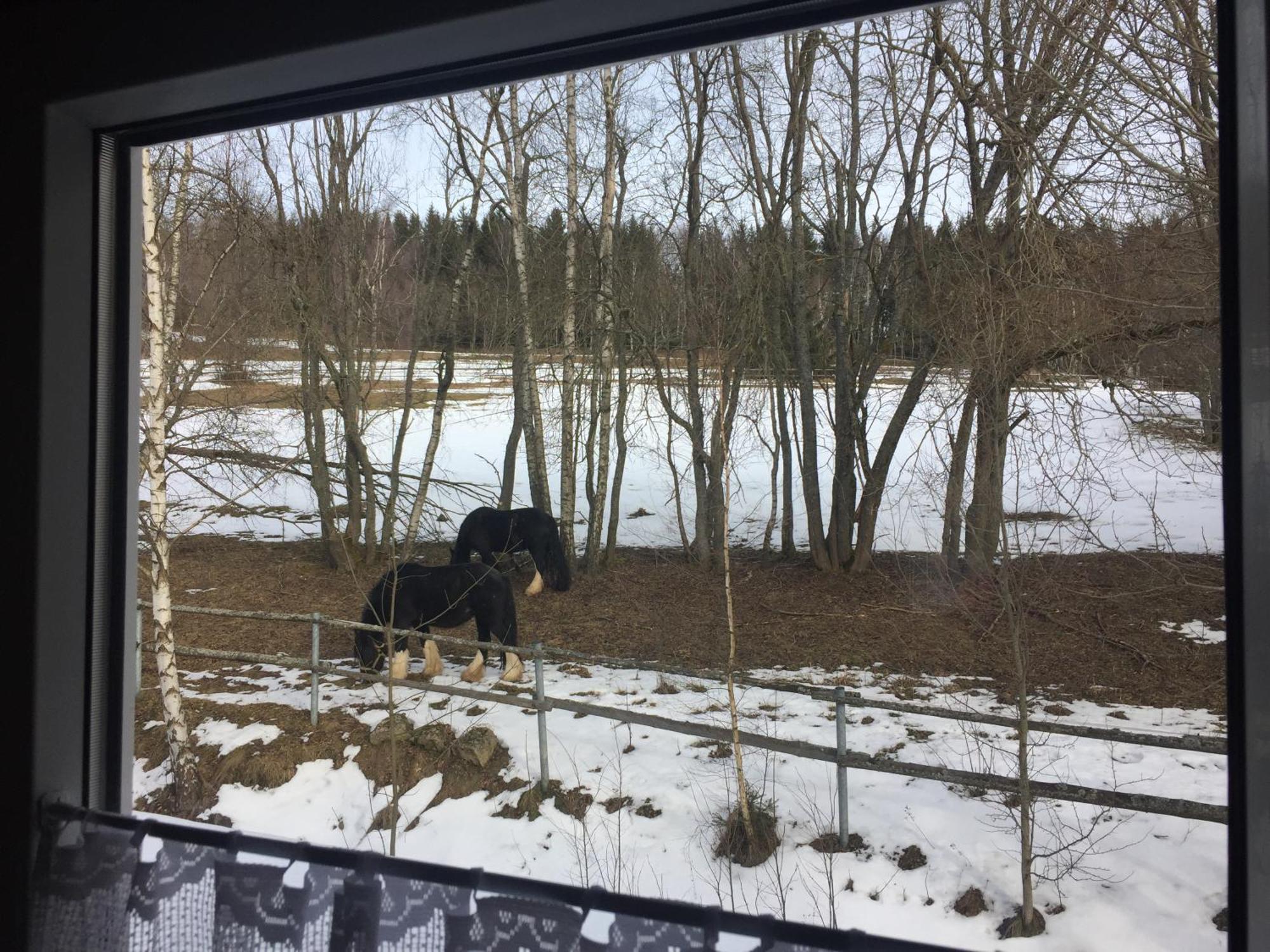 Penzion Na Slunicku Marianska Luaran gambar